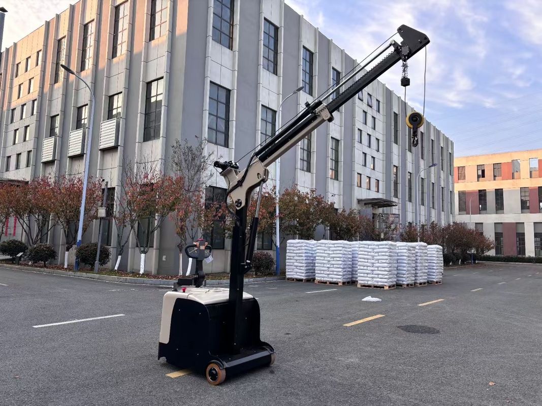 Non Standard Electric Counter Balance Forklift  Truck with Crane Arm  Length 2480 mm 24V 210AH